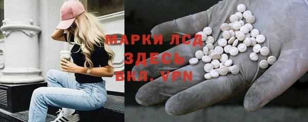 индика Новодвинск