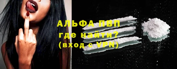 индика Новодвинск