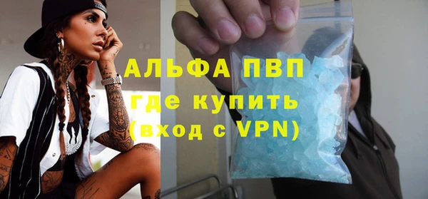 индика Новодвинск