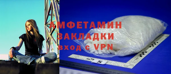 индика Новодвинск