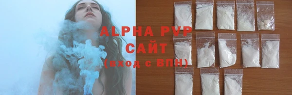 индика Новодвинск