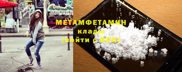 индика Новодвинск