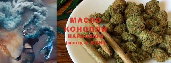 индика Новодвинск