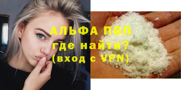 индика Новодвинск