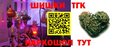 мдпв Гатчина