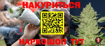 мдпв Гатчина