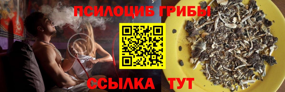 Галлюциногенные грибы GOLDEN TEACHER Касимов